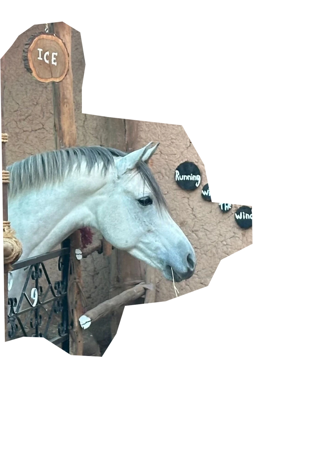 ICE Horse Ride