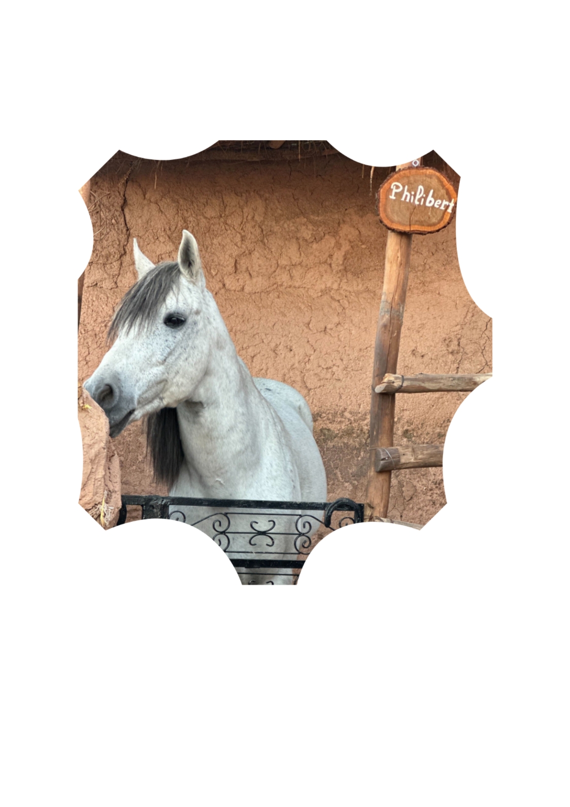 Philibert Horse Ride